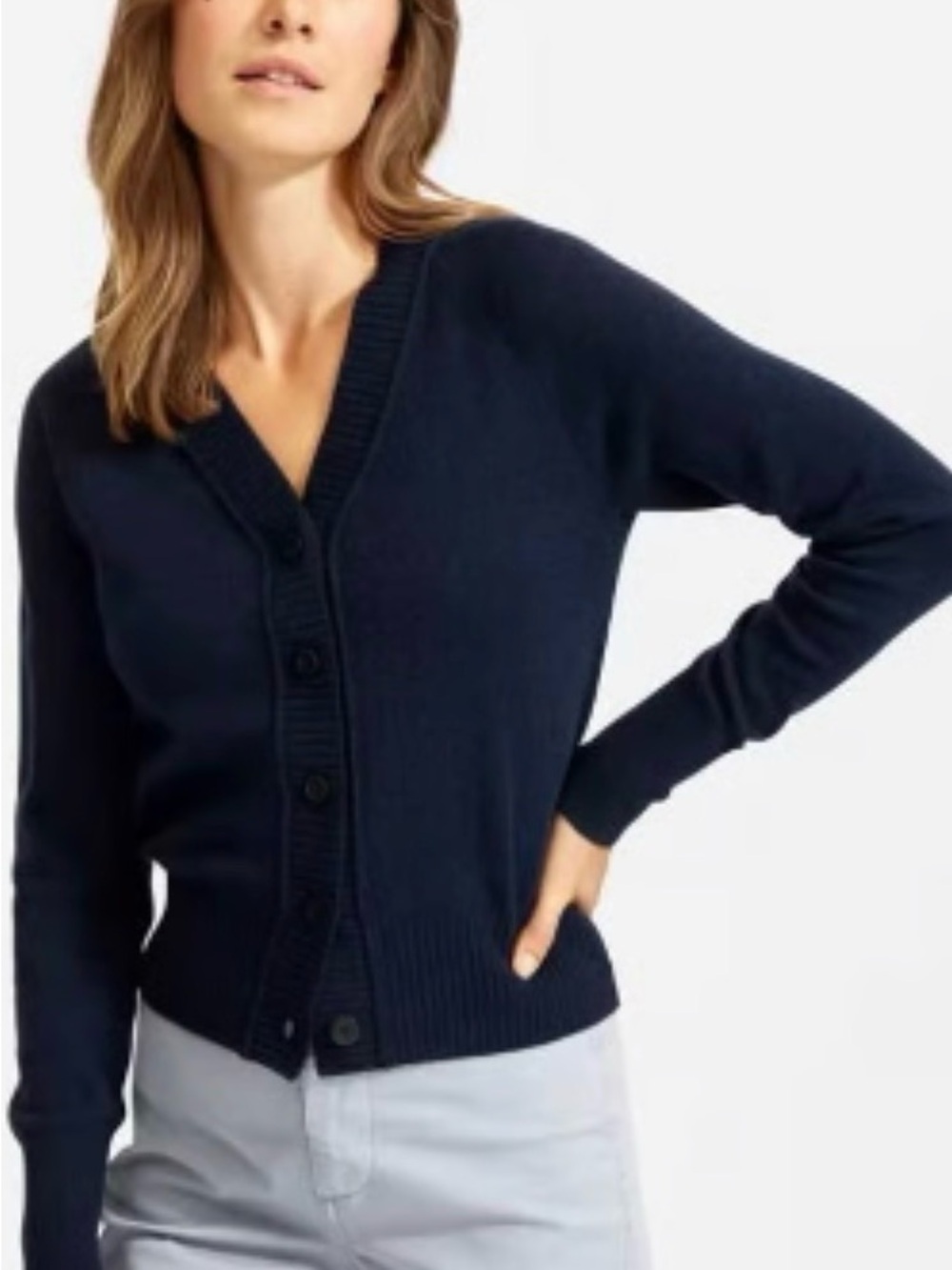 Everlane ReCashmere Varsity Cardigan Size Small in Navy